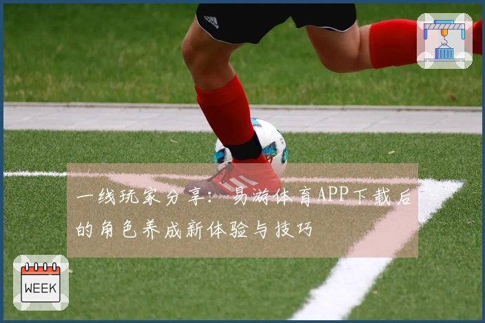 一线玩家分享：易游体育APP下载后的角色养成新体验与技巧